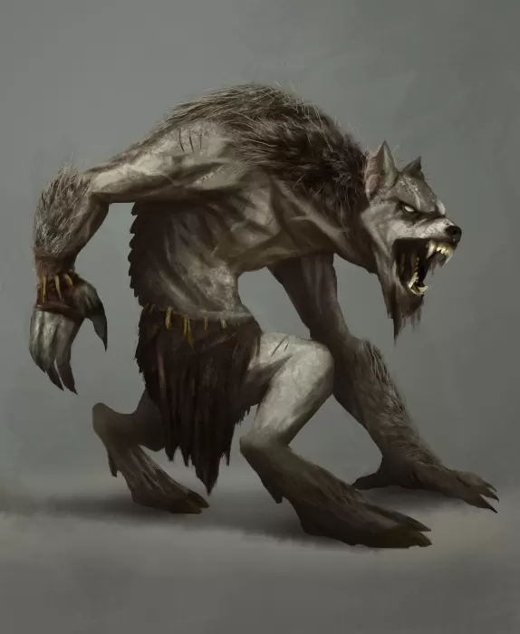 Felipe Contartesi (UNIDADE 2)